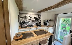 Le studio des oiseaux